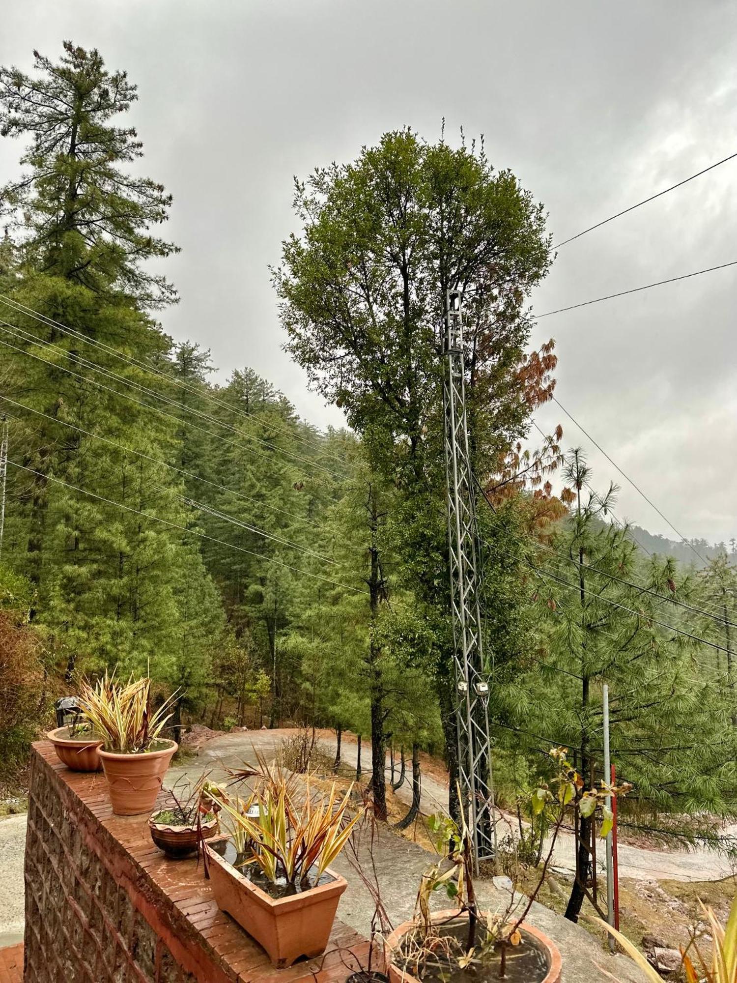 Sarah'S Lodge Murree Exteriér fotografie